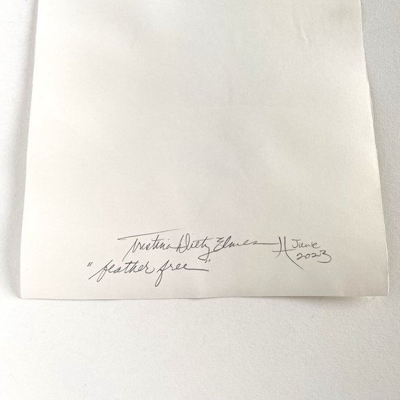 Feather Free Original Painting Ink on Rice Paper Matted 11x14in Frame Ready - Picture 5 of 5